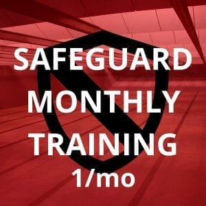 Safeguard 1 Session /month
