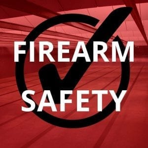 Online firearms safety course certificate for court approval, helping dismiss an unlawful carry charge