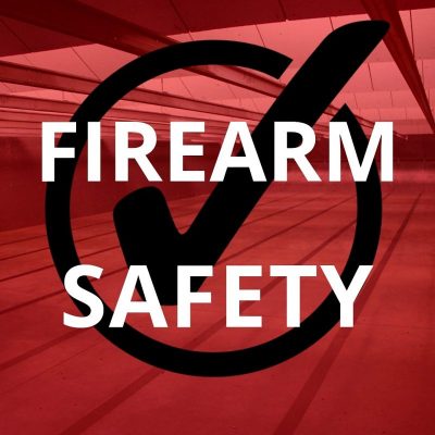 Online firearms safety course certificate for court approval, helping dismiss an unlawful carry charge